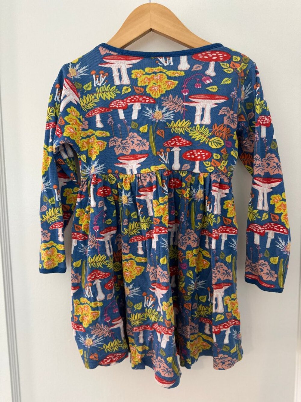 Duns Organic Cotton Dress 3-5T